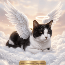 Foto de perfil de Nail Eterno Companheiro