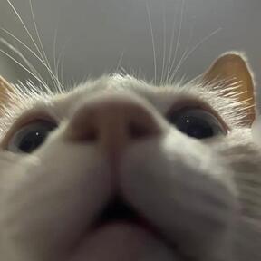 Foto de perfil de Digo