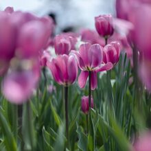 Foto de perfil de Joao carlos José