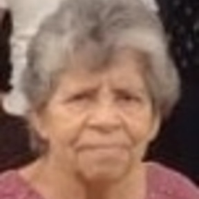 Foto de perfil de Diva Lessa