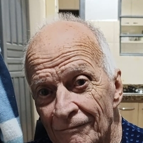 Vicente de Paula Pereira