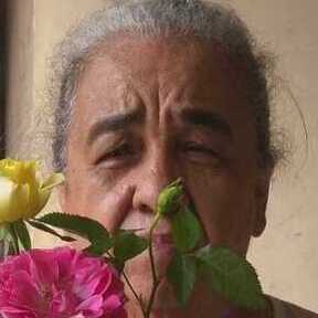 Foto de perfil de Raimunda Alves Brandão