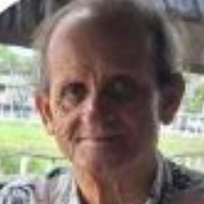 Foto de perfil de Alcidesío da Silva Ramalho