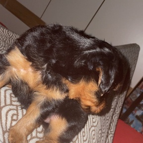 Foto de perfil de TED