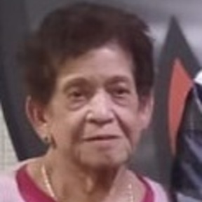Foto de perfil de Tereza P.Panicacce P.Panicacce