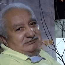 Foto de perfil de José Paulo de Lima