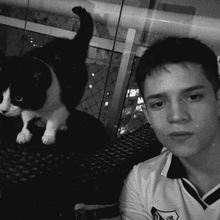 Foto 3 do memorial de Nail Eterno Companheiro