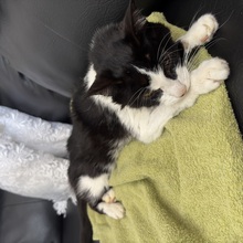 Foto 5 do memorial de Nail Eterno Companheiro