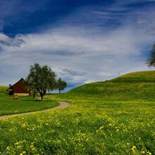 Foto 3 do memorial de Joao carlos José