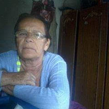 Foto 1 do memorial de PAULO DIAS