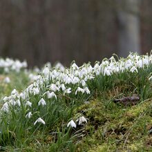 Foto 5 do memorial de Joao carlos José