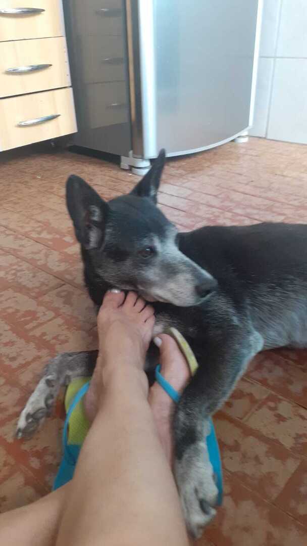 Foto denunciada
