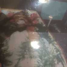 Foto 1 do memorial de João Costa Manga rosa