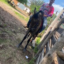 Foto 4 des Gedenkorts von Breno De sousa Corrêa