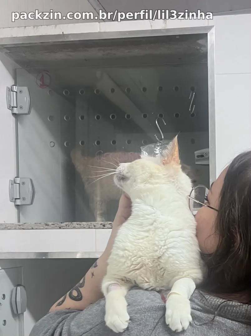 Foto denunciada
